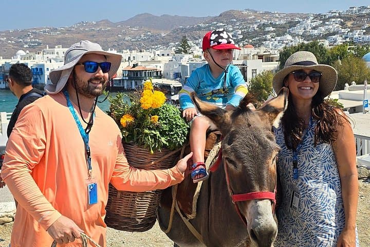 Private Mykonos Island Sightseeing Tour with a local SUV
