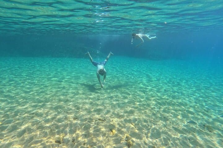 Private Snorkeling Adventure with Transportation