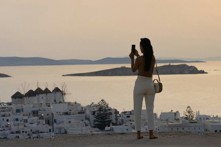 Mykonos Essential Tour for Cruisers Direct Port Pickup and Return