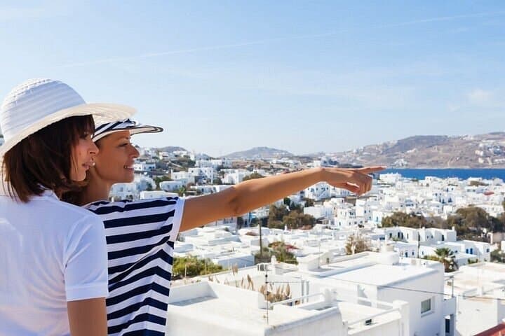 Private Shore Excursion in Mykonos - Port Pick up & Drop off