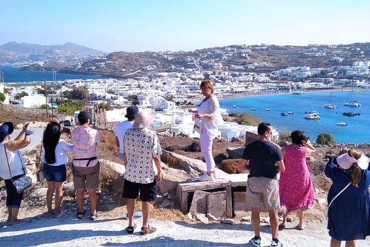 Half-Day Private Guided Tour in Mykonos up to 6