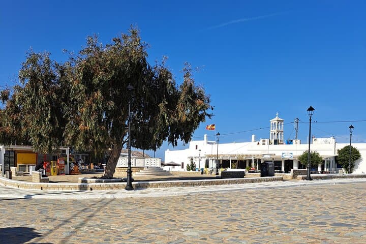 Mykonos island tour in small group up to 11 people.