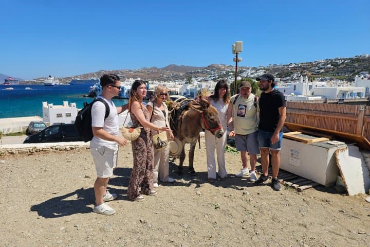 Mykonos 2 Hour Private Tour with a Local Expert